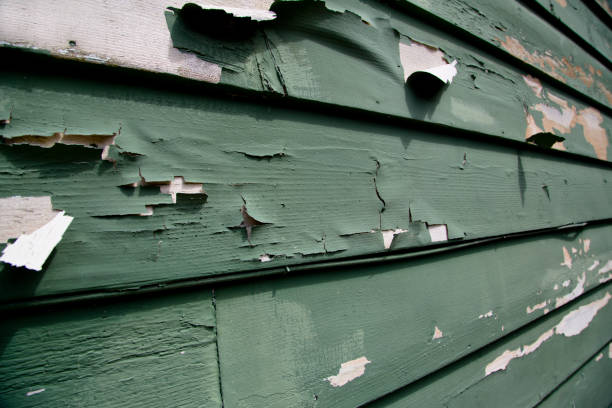 Best Insulated Siding Installation  in Watchung, NJ
