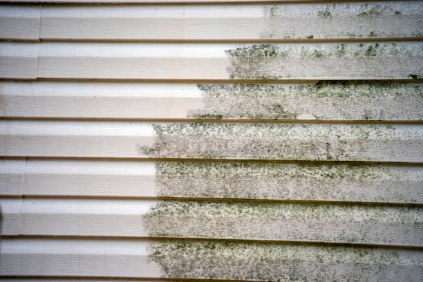 Best Storm Damage Siding Repair  in Watchung, NJ