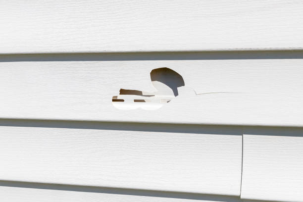 Best Brick Veneer Siding  in Watchung, NJ