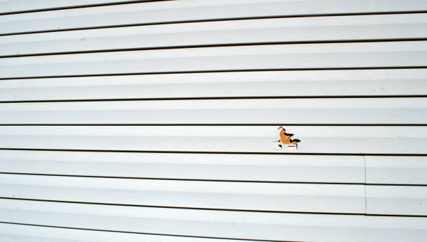 Best Aluminum Siding Installation  in Watchung, NJ